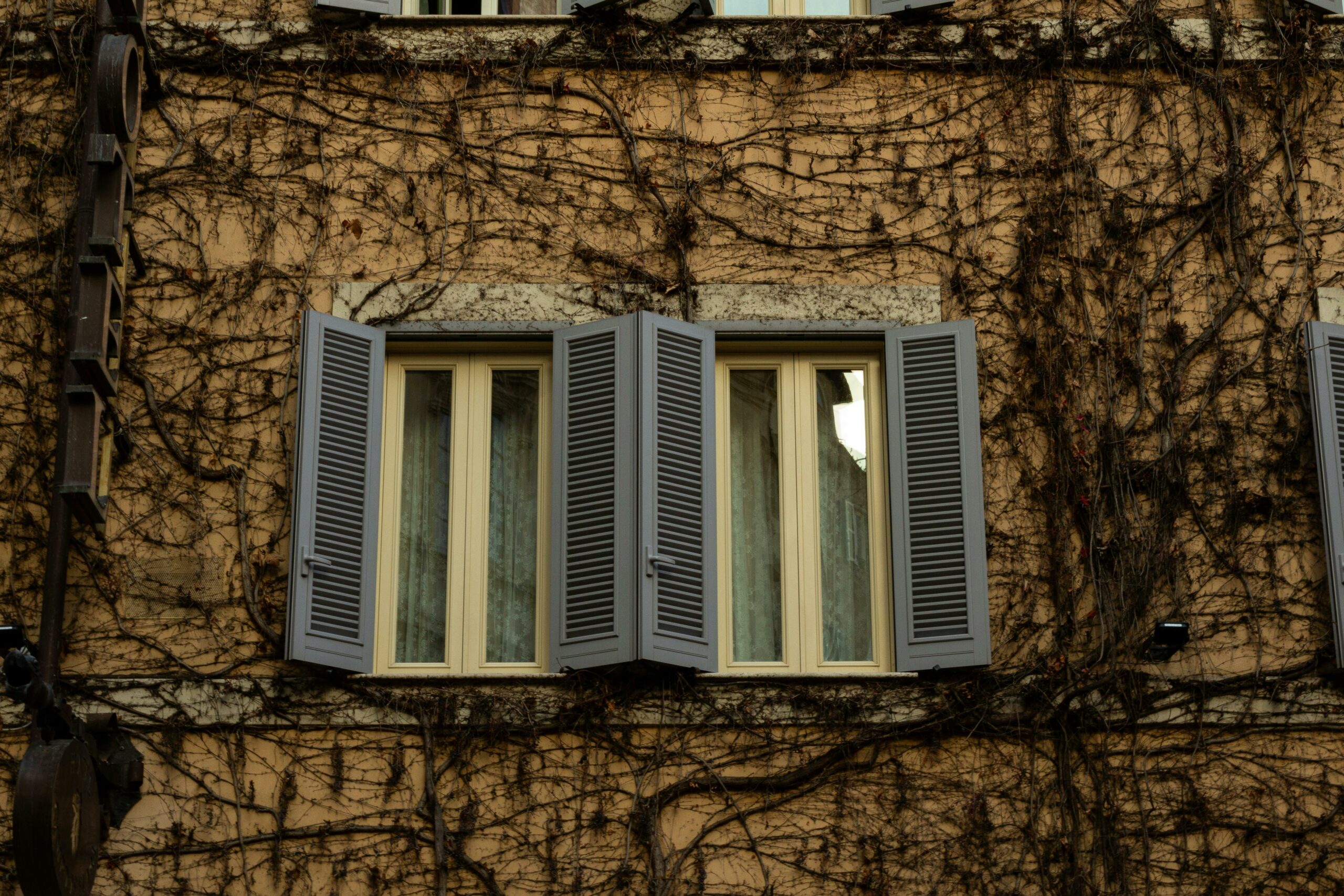 pexels fatihscapture 30726124 scaled